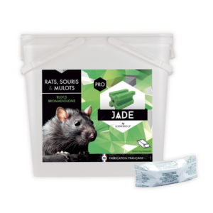 Jade bloc