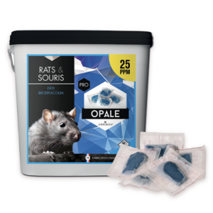 Opale pâte brodifacoum 25PPM