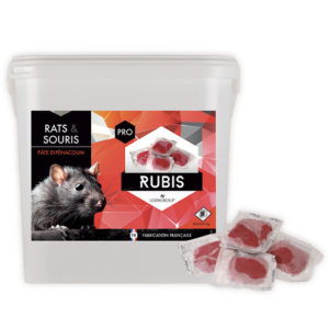 Rubis pasta