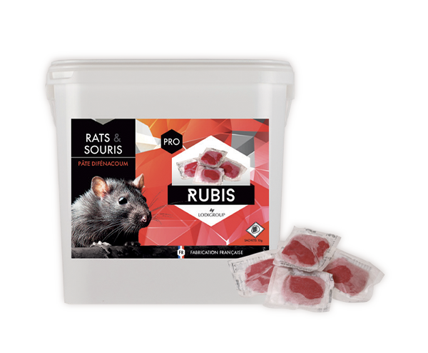 Rubis pasta
