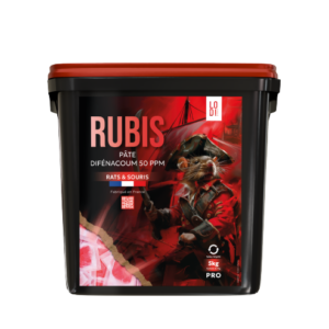 Rubis pasta