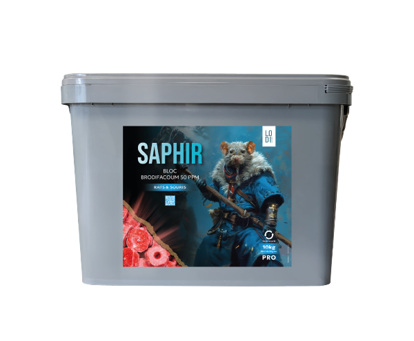 Saphir bloc